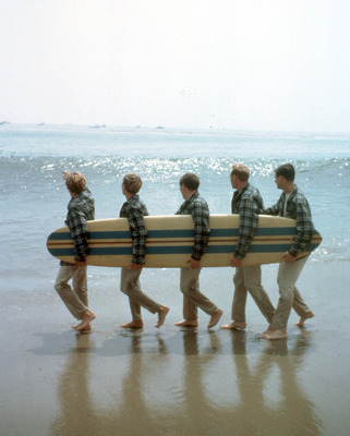 The Beach Boys hoodie