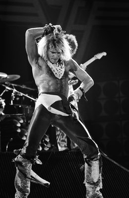 David Lee Roth Mouse Pad Z1G805491