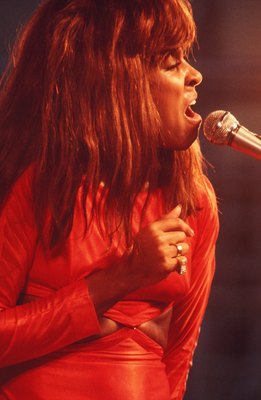 Tina Turner Poster Z1G813564