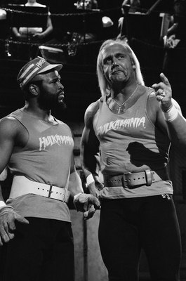 Hulk Hogan Poster Z1G817112