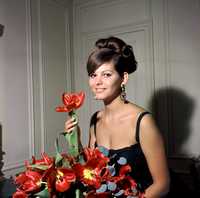 Claudia Cardinale Poster Z1G818846