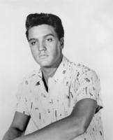 Elvis Presley Longsleeve T-shirt #1355826
