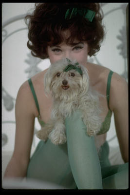 Shirley MacLaine Poster Z1G847770