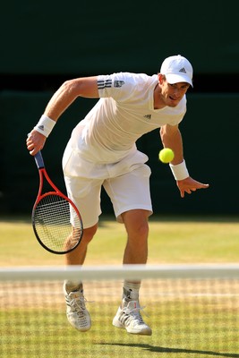Andy Murray Poster Z1G855407