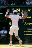 Andy Murray Poster Z1G855408