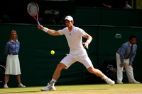 Andy Murray Poster Z1G855418
