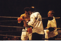 Muhammad Ali Poster Z1G870596