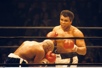 Muhammad Ali Poster Z1G870612