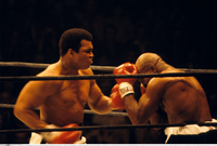 Muhammad Ali Poster Z1G870774