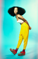 Solange Knowles Poster Z1G881559