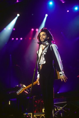 Prince Rogers Nelson Poster Z1G881700