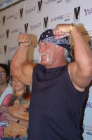 Hulk Hogan hoodie #1410754