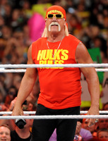 Hulk Hogan hoodie #1410820
