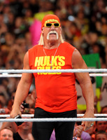 Hulk Hogan Poster Z1G883286
