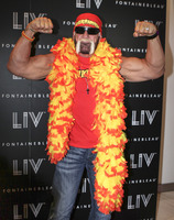 Hulk Hogan Poster Z1G883294