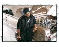 Ice Cube Poster Z1G907614