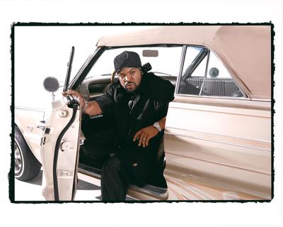 Ice Cube Poster Z1G907617