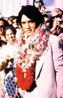 Elvis Presley Poster Z1G914295