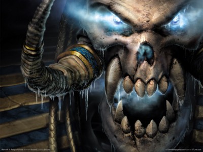 Warcraft 3 reign of chaos Poster Z1GW11853