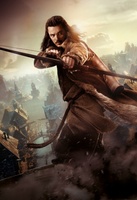 The Hobbit: The Desolation of Smaug movie poster (2013) Poster MOV_0050731d