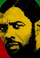 Mandela: Long Walk to Freedom movie poster (2013) Poster MOV_00625290