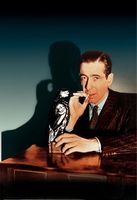 The Maltese Falcon movie poster (1941) t-shirt #MOV_010b2705