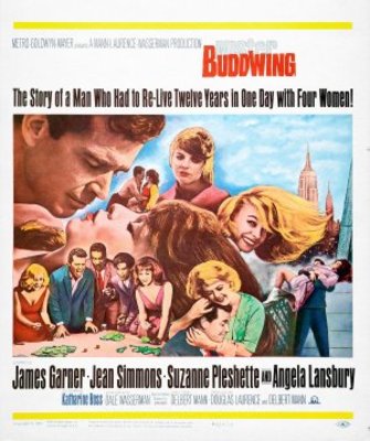 Mister Buddwing movie poster (1966) poster