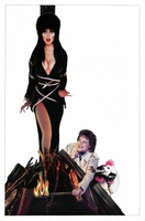 Elvira, Mistress of the Dark movie poster (1988) Poster MOV_02a10739