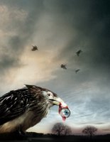 Flu Bird Horror movie poster (2008) Poster MOV_0390990e