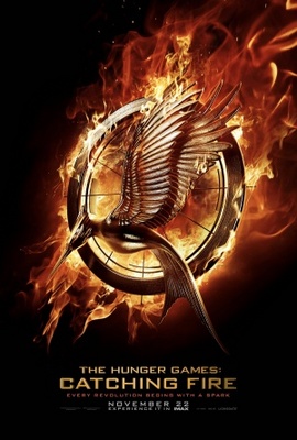 Catching Fire movie poster (2013) Poster MOV_042ee22b