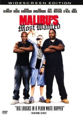 Malibu's Most Wanted movie poster (2003) mug
