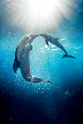 Dolphin Tale 2 movie poster (2014) mouse pad