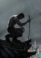 The Wolverine movie poster (2013) Poster MOV_07a776fb