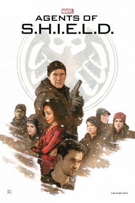 Agents of S.H.I.E.L.D. movie poster (2013) mug #MOV_0abe3855