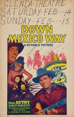 Down Mexico Way movie poster (1941) poster