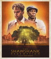 The Shawshank Redemption movie poster (1994) t-shirt #MOV_0v7kpa3p