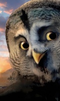 Legend of the Guardians: The Owls of Ga'Hoole movie poster (2010) Poster MOV_1165f5ac
