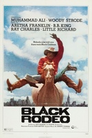 Black Rodeo movie poster (1972) Poster MOV_122013f3