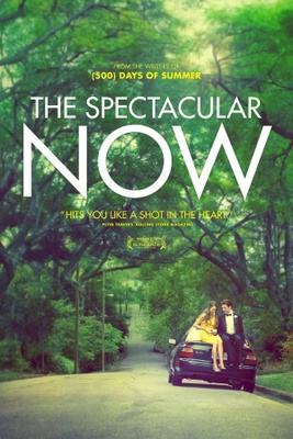 The Spectacular Now movie poster (2013) poster