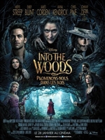 Into the Woods movie posters (2014) t-shirt #MOV_1784537
