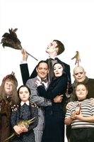 The Addams Family movie posters (1991) Poster MOV_1787728