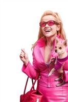 Legally Blonde movie posters (2001) Poster MOV_1792220