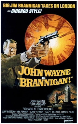 Brannigan movie posters (1975) hoodie