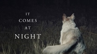 It Comes at Night movie posters (2017) Poster MOV_1809953