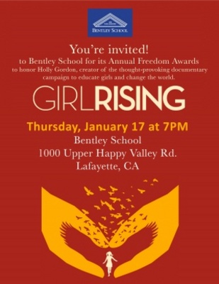 Girl Rising movie poster (2013) Longsleeve T-shirt