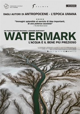 Watermark movie posters (2013) Tank Top