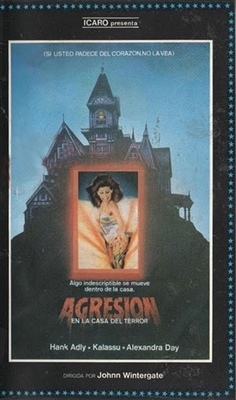 Boardinghouse movie posters (1982) hoodie