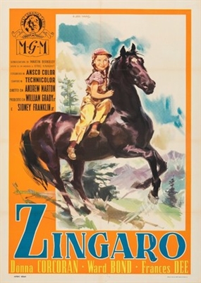 Gypsy Colt movie posters (1954) poster