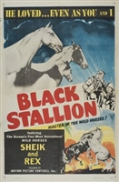 King of the Sierras movie posters (1938) hoodie #3580146