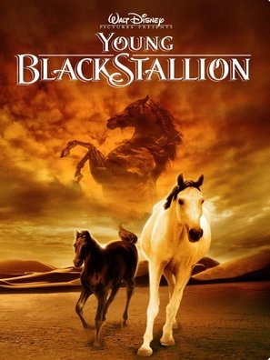 The Young Black Stallion movie posters (2003) Sweatshirt